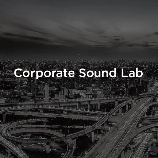 Corporate Sound Lab
